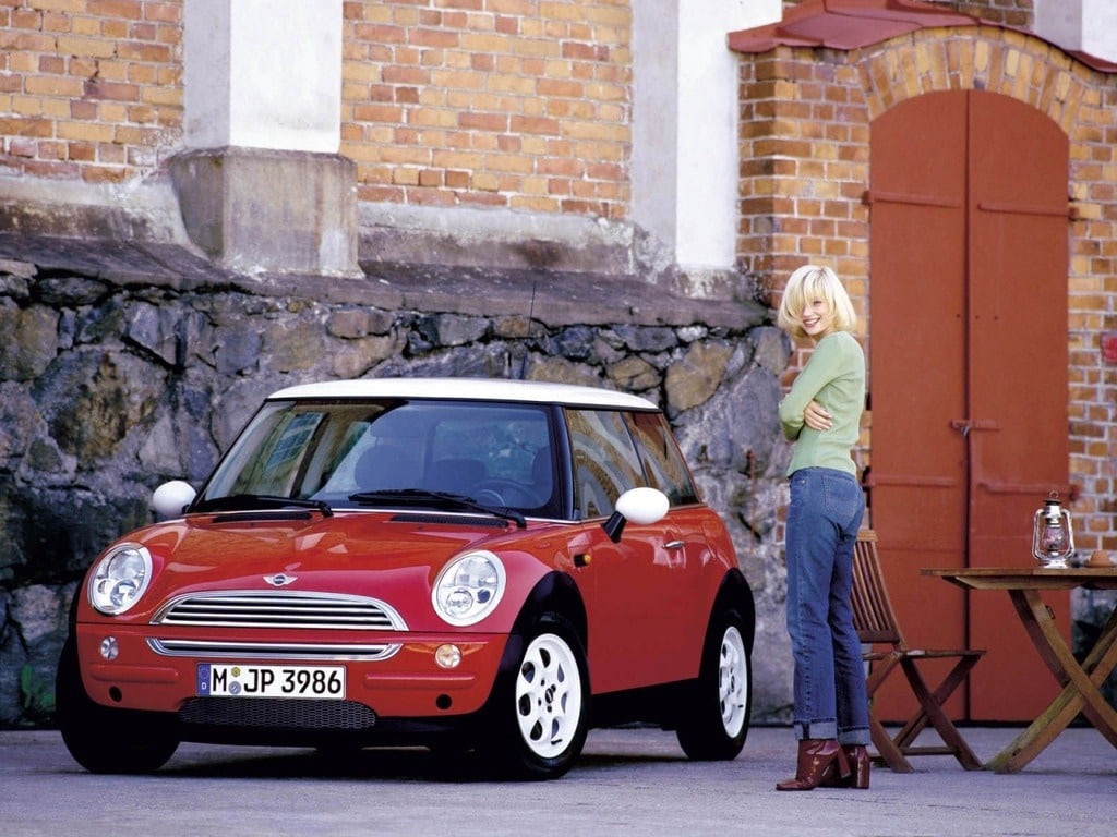 lady with mini