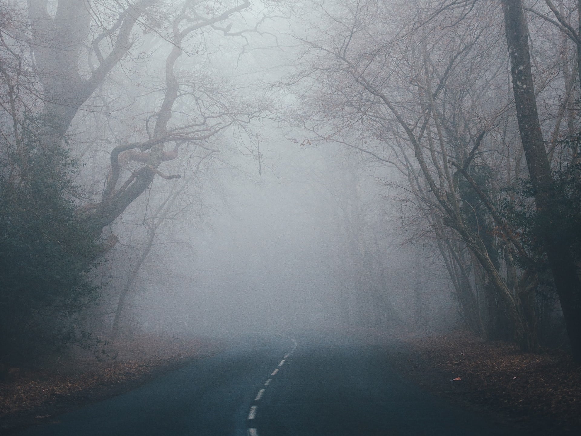 a haunted road enveloped in fog